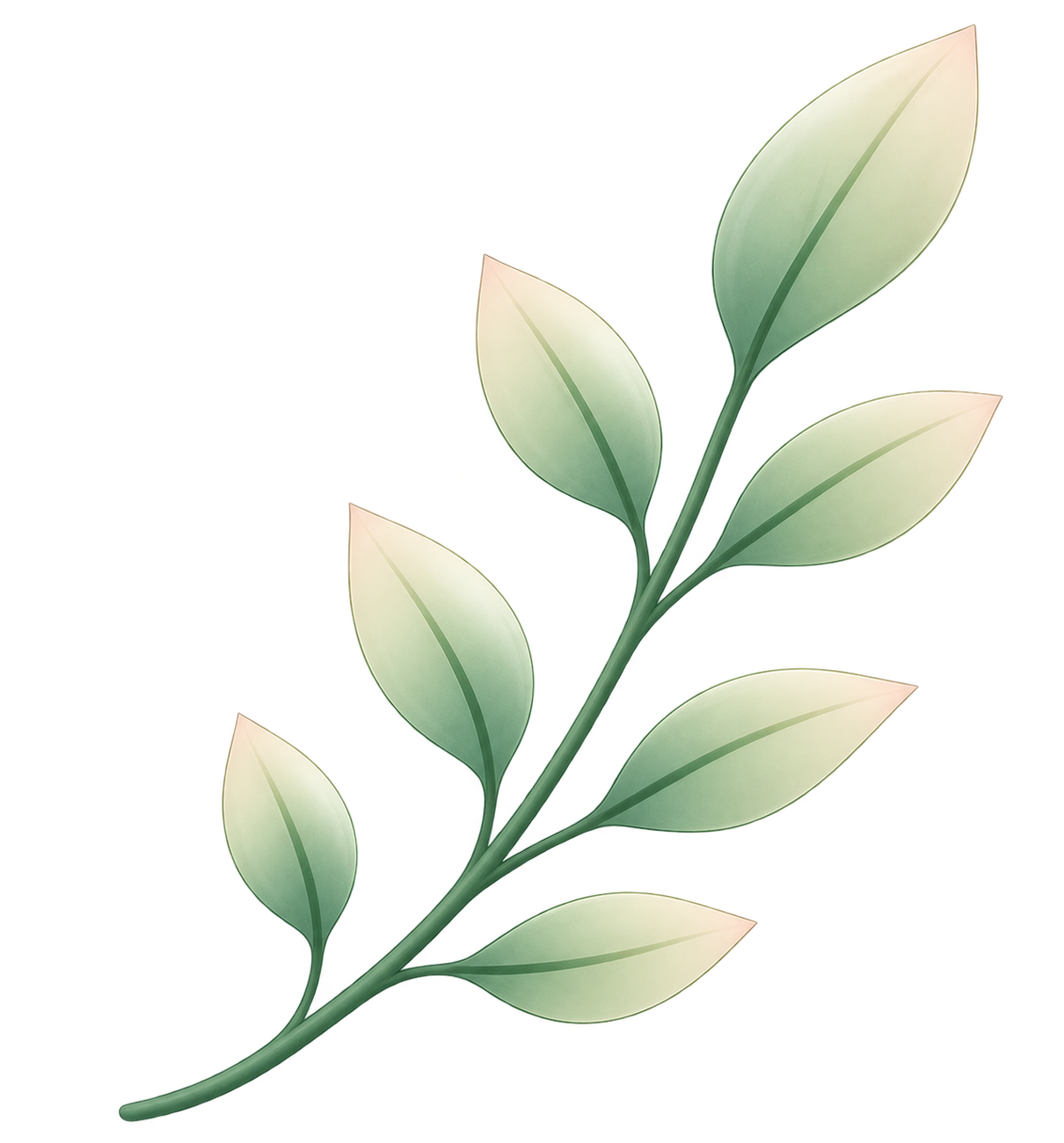 Botanical Leaf Branch
